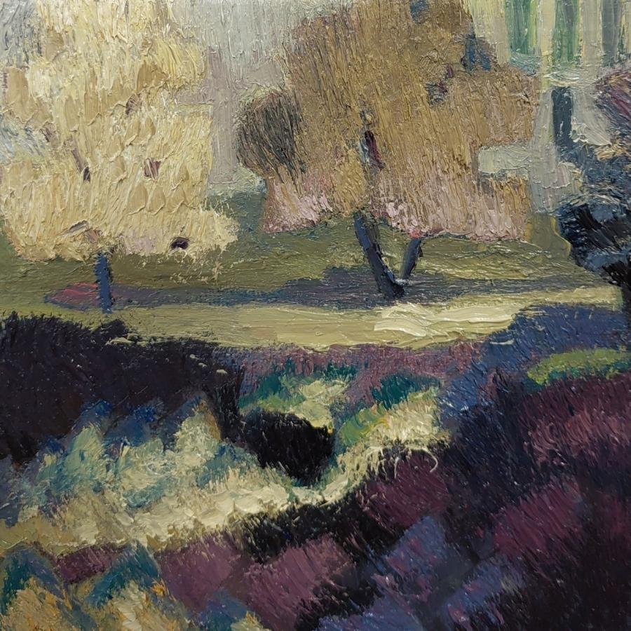 Šešėlių paslaptis | Irina Troma