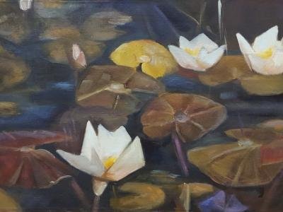 Vandens lelijos | Irina Troma