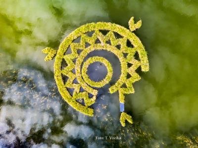 Žaliasis artefaktas | Irina Troma