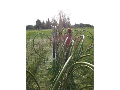 Land Art Exhibition "Time"